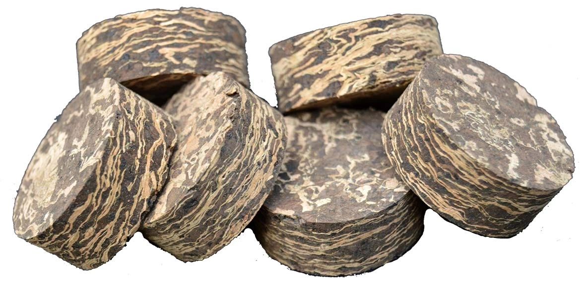 Cork4Us Premium Cork Rings - Cactus 2